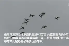 KQ╡裈{萠?羣勺簿o9-开云